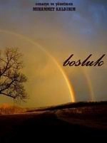 Boşluk