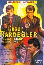 Cesur Kardeşler