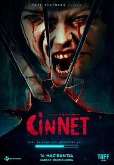 Cinnet
