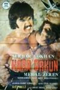 Kara Orkun