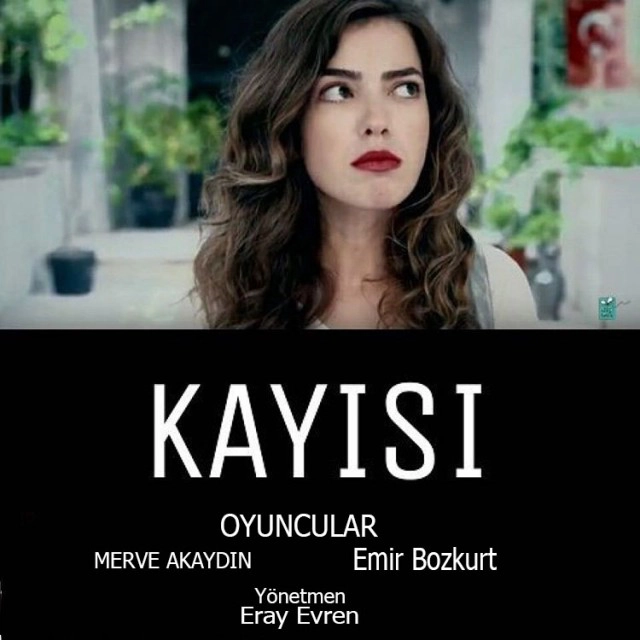 Kayısı