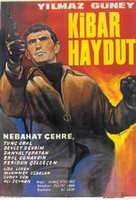 Kibar Haydut