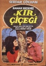 Kır Çiçeği