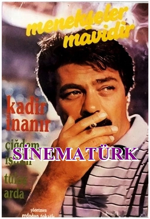 Menekşeler Mavidir