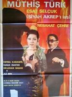 Müthiş Türk