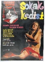 Sokak Kedisi