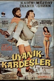 Uyanık Kardeşler