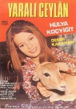 Yaralı Ceylan
