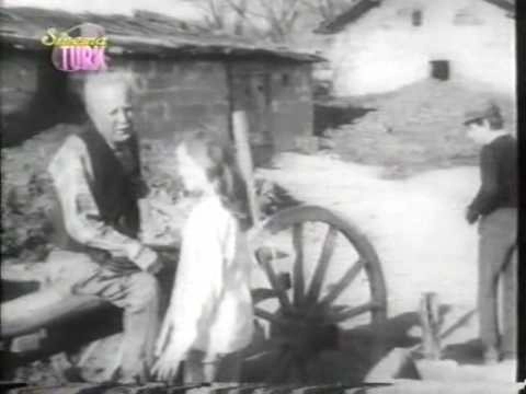 Yaralı Kuş