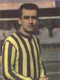 Birol Pekel