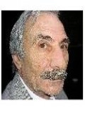 Yunus Yılmaz
